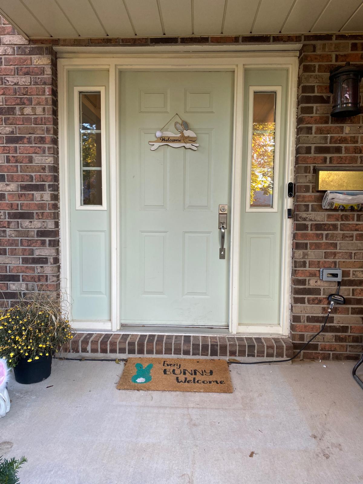Doors Replacement 4 — before